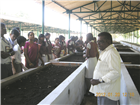 Alamadi Cattle Breeding Farm