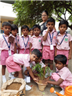 KG Plant saplings